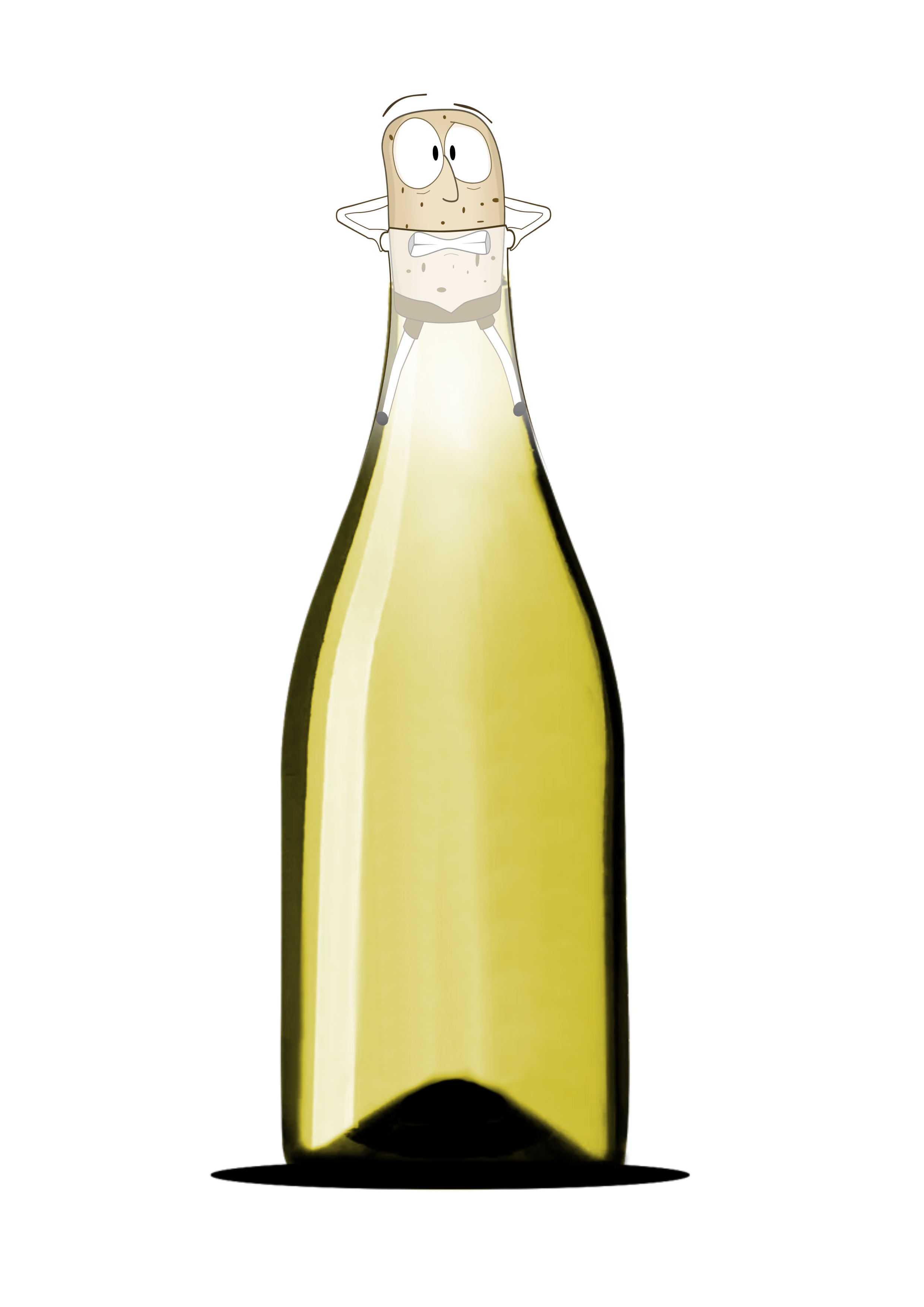Bianchini Wines bottle